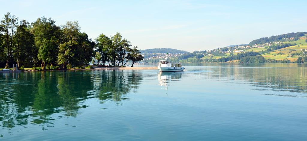 Seehotel Delphin Meisterschwanden Exterior photo
