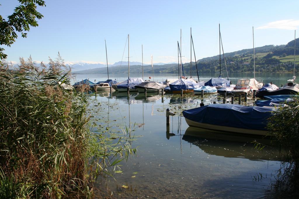 Seehotel Delphin Meisterschwanden Exterior photo