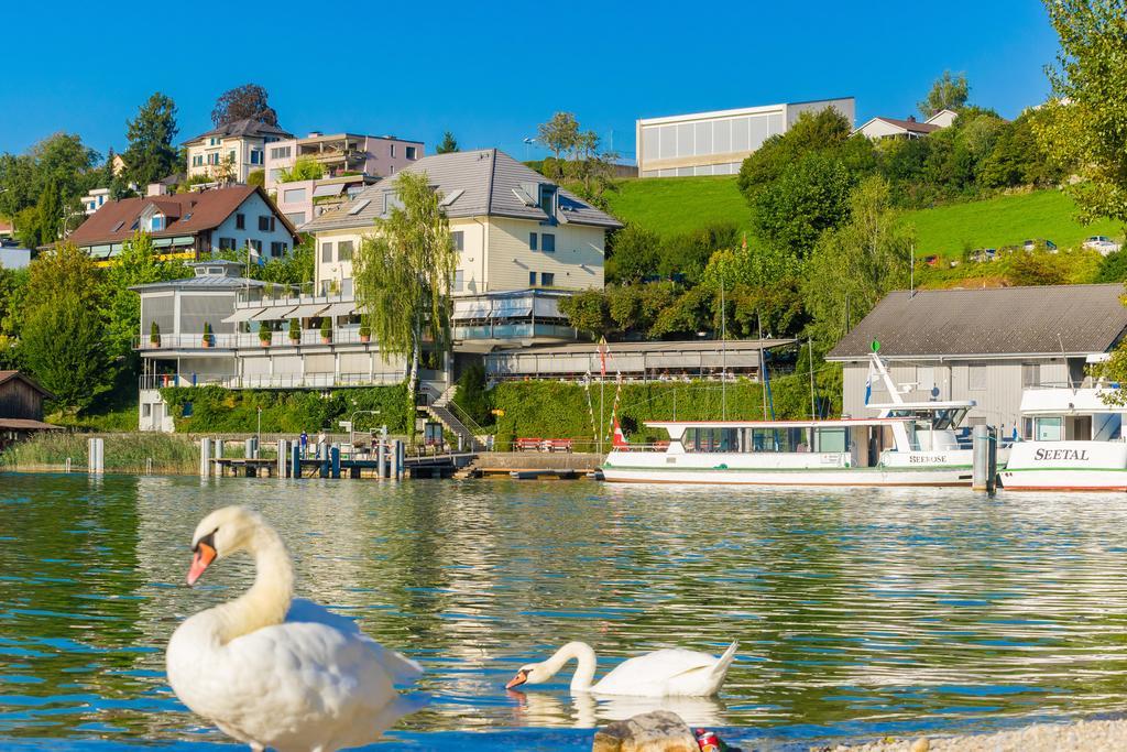 Seehotel Delphin Meisterschwanden Exterior photo